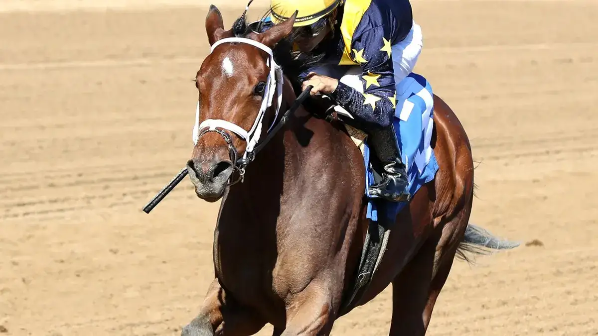 Foxiest y Scarlett Begonia afinan para la Breeders’ Cup