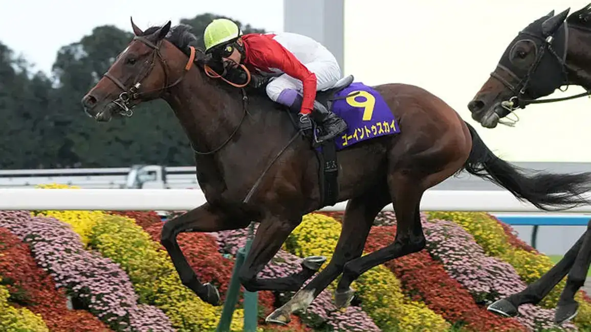 Going To Sky da a Yutaka Take su sexto Kikuka Sho