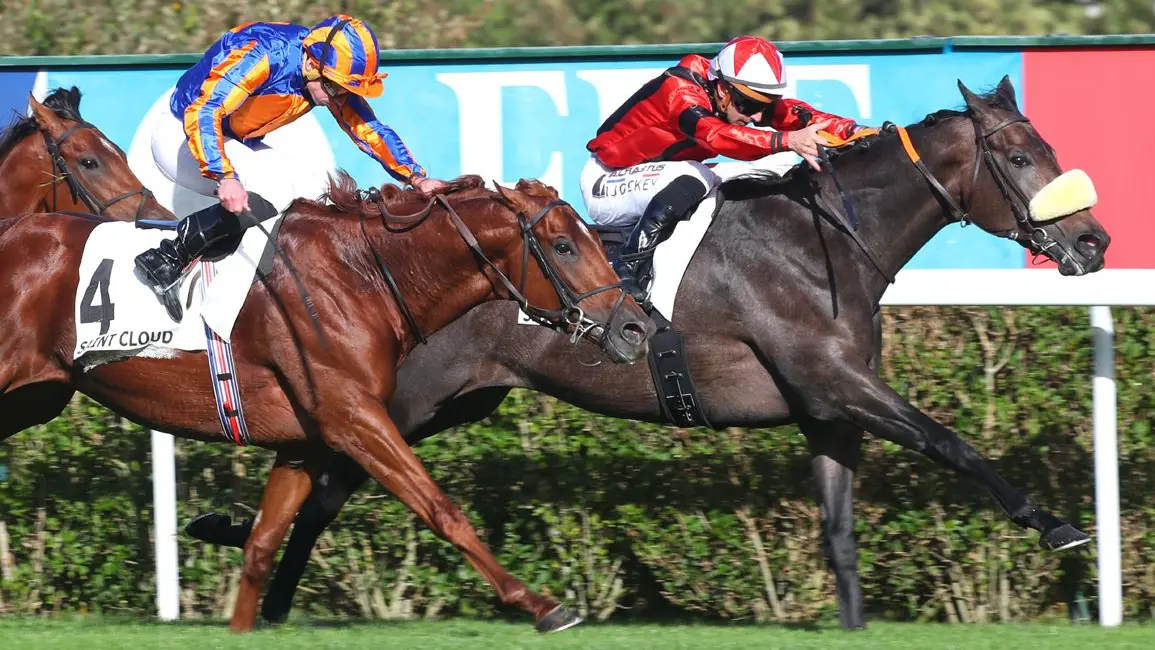 Master Man gana el G1 Criterium International