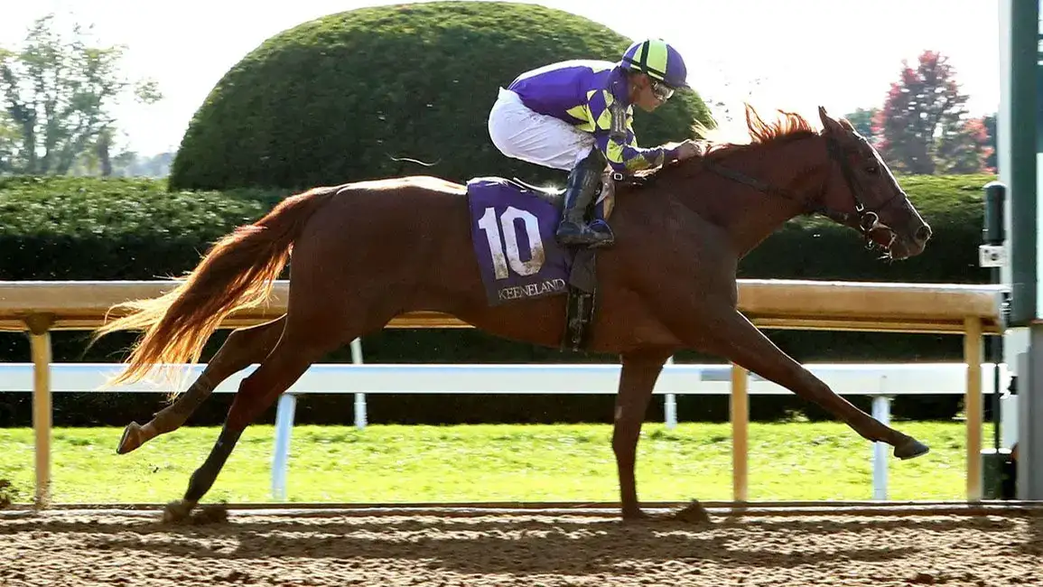 Joyful Flight gana en su debut en Keeneland