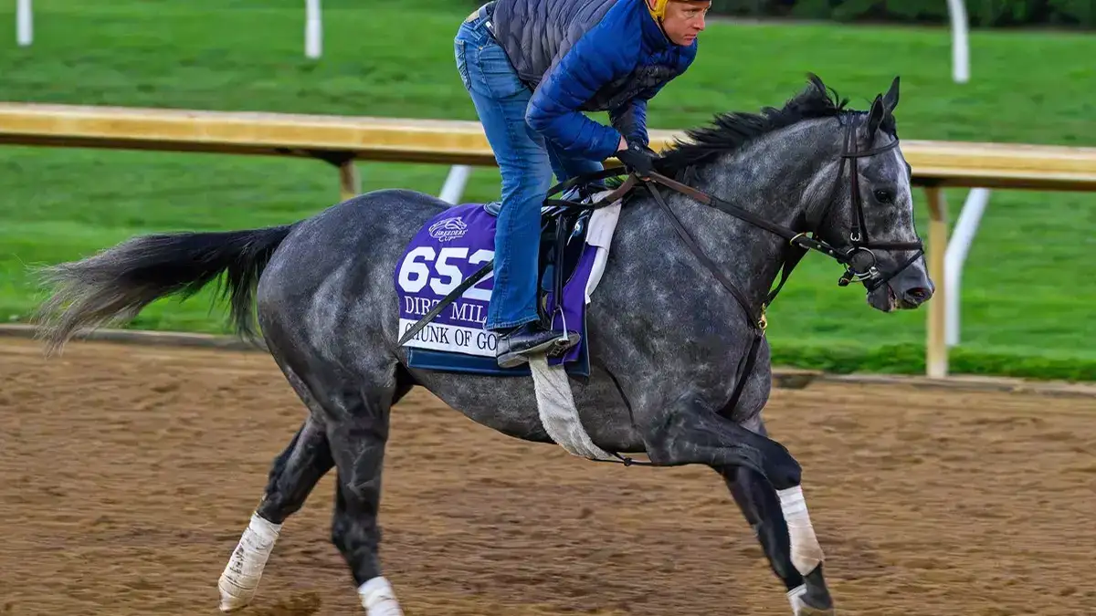 Chunk of Gold busca victoria en la Breeders' Cup Dirt Mile