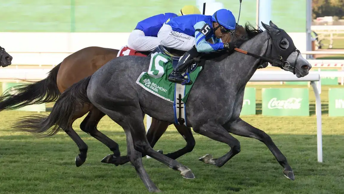 Lion Lake gana la segunda división del G3 Glen Cove