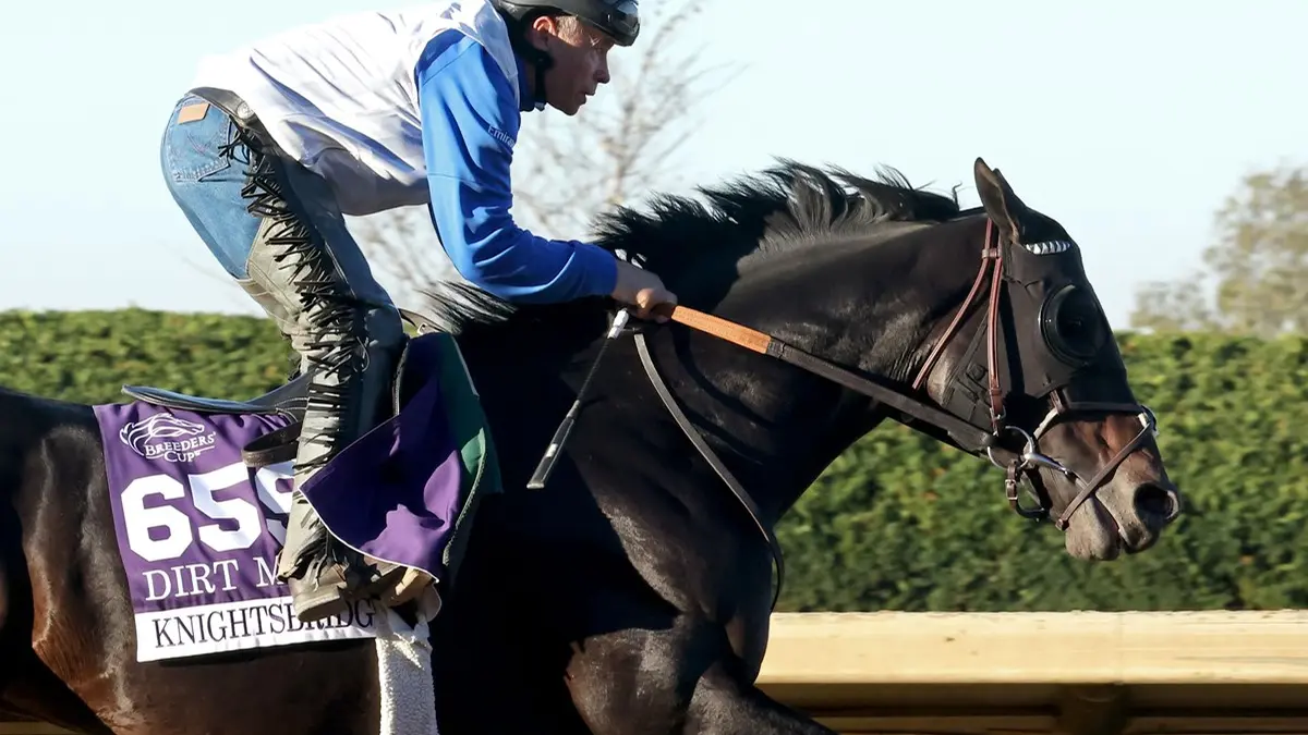 Knightsbridge disputará la Breeders' Cup Classic (G1)