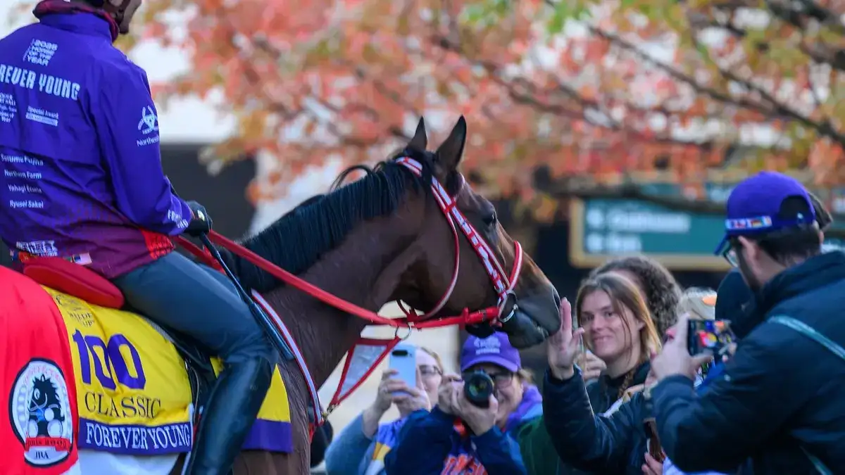Breeders' Cup 2026: guía de TV, streaming y radio