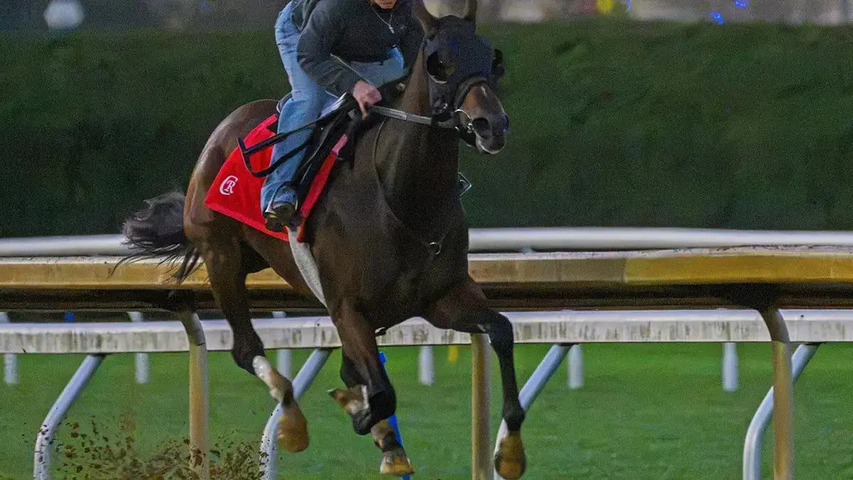 D. J. Stable llega a la Breeders' Cup con Nitrogen