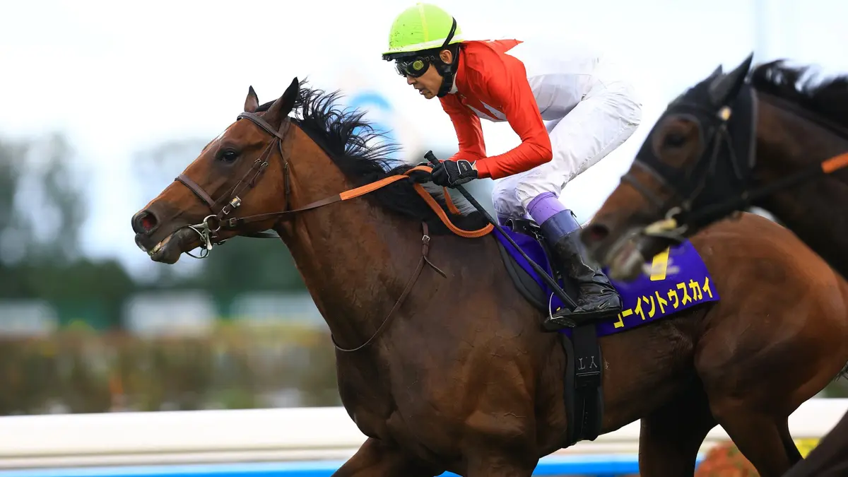 Going to Sky gana por nariz el G1 Kikuka Sho
