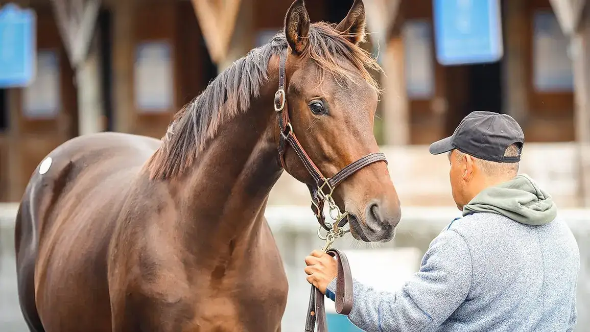 Fasig-Tipton Eastern Fall: nueva fecha y nuevo formato