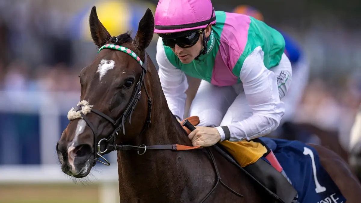 Blue Bolt correrá el Filly & Mare Turf en la Breeders' Cup