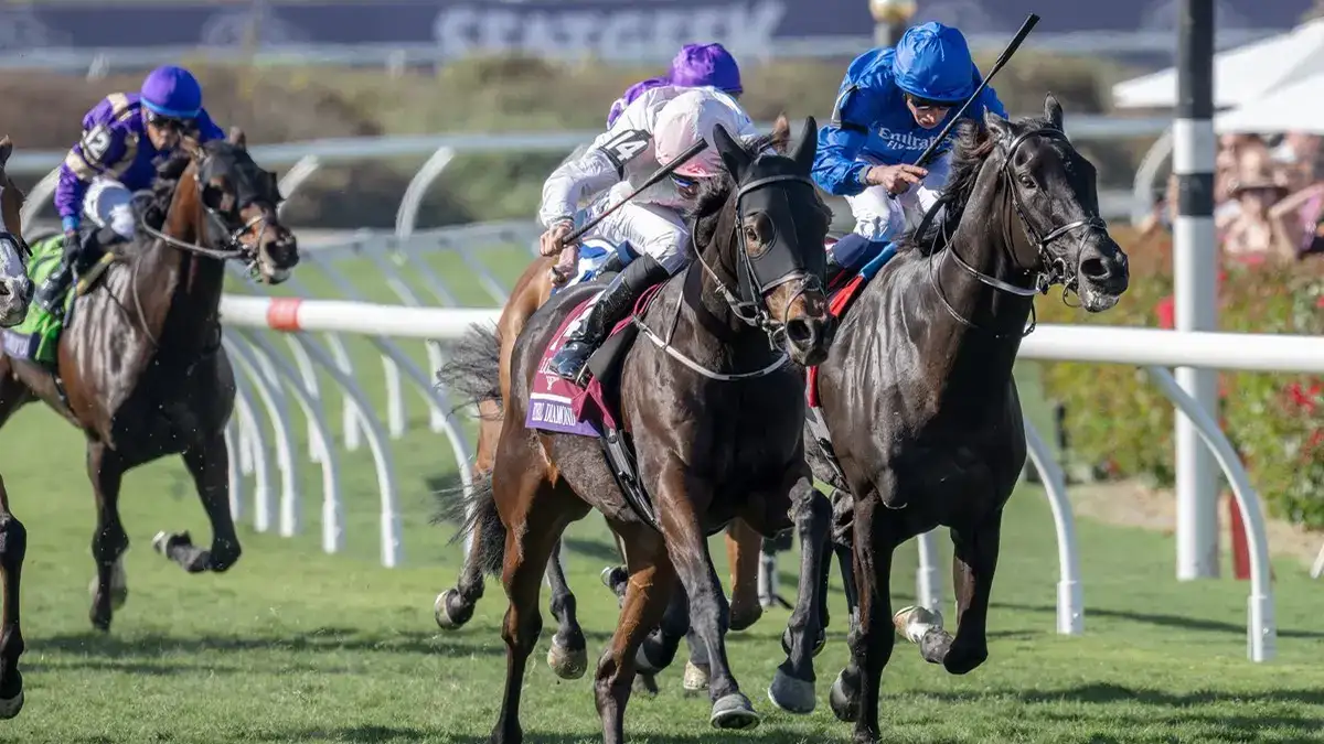 Ethical Diamond busca sorpresa en la Breeders' Cup Turf