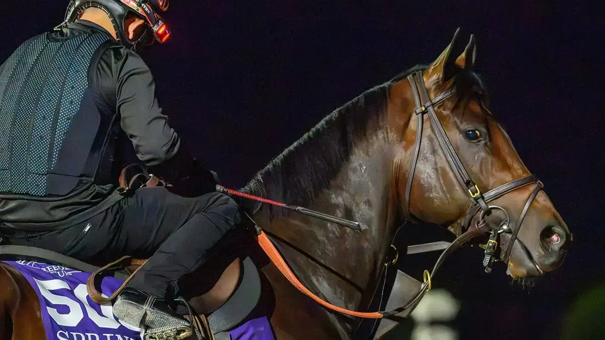 Englishman busca la Breeders' Cup Sprint ante los mayores