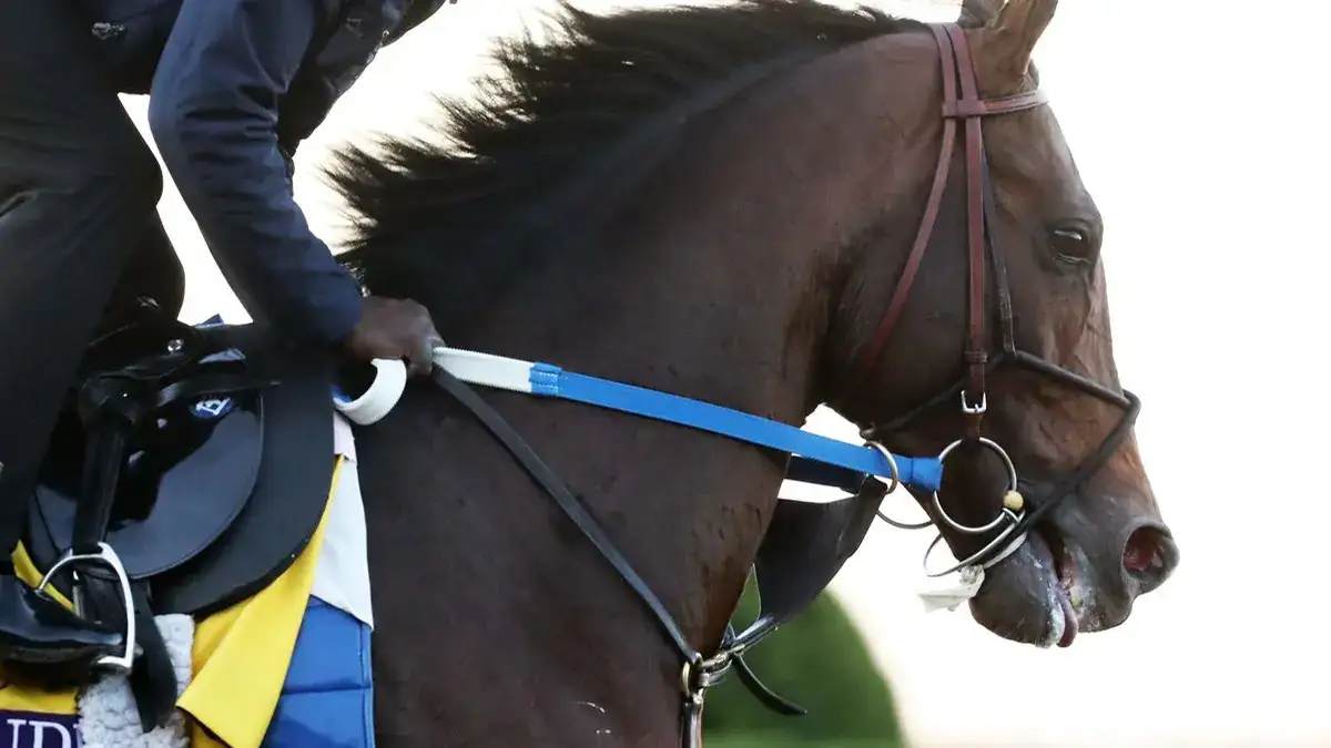 Breeders' Cup 2026: inscritos del sábado en Keeneland