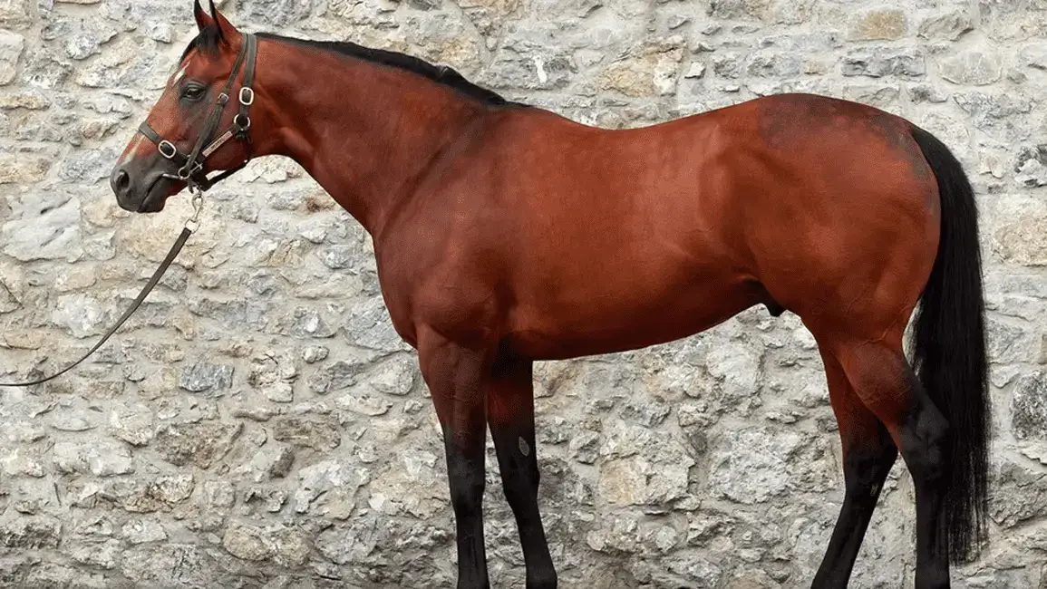 Slightly prepara su debut en Dundalk