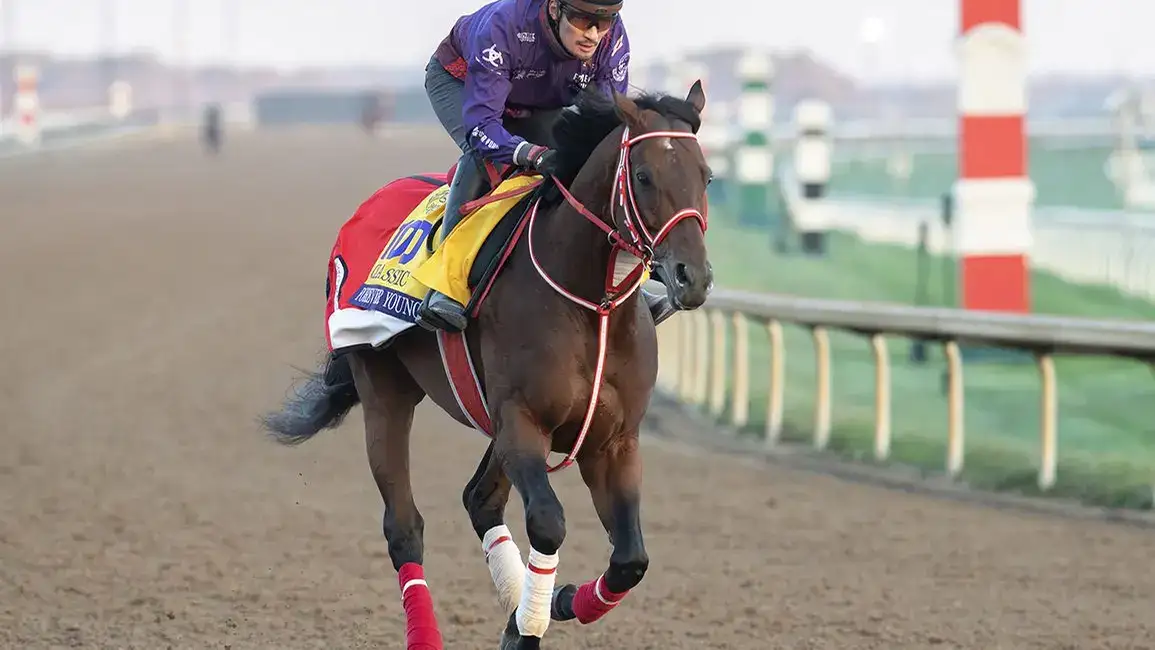 Forever Young, favorito en la Breeders’ Cup Classic