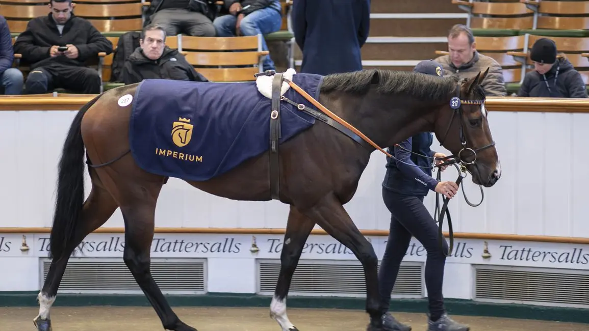 Arctic Tsar lidera la apertura de la venta de Tattersalls