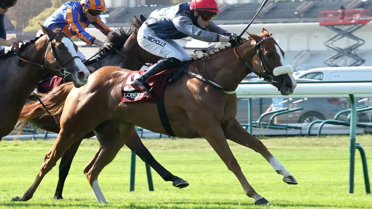 Miss Yechance, a subasta antes de la Breeders' Cup