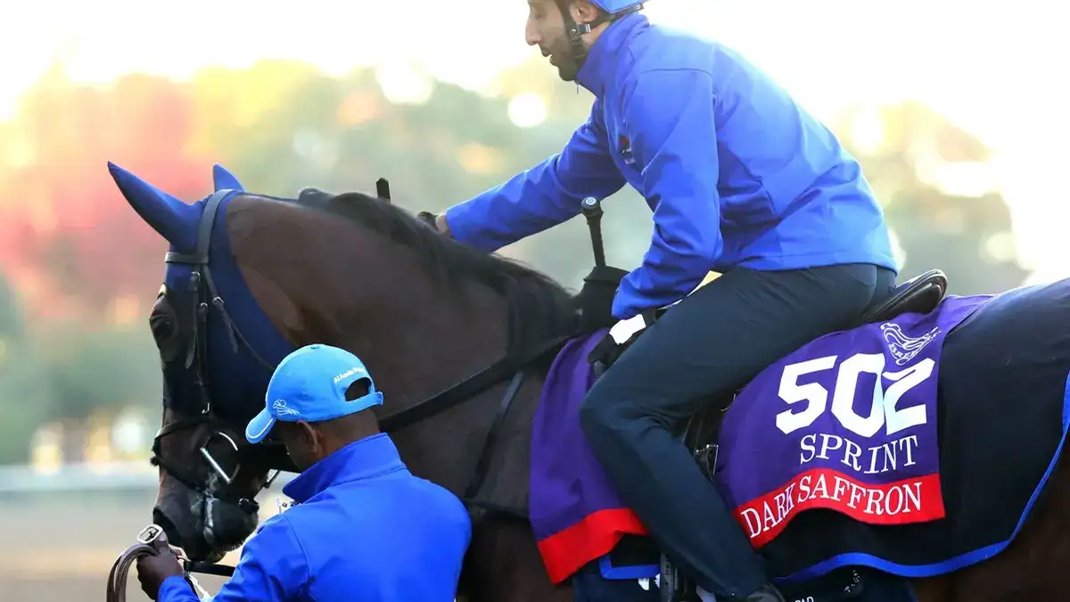 Dark Saffron, outsider de Dubái en la Breeders' Cup Sprint