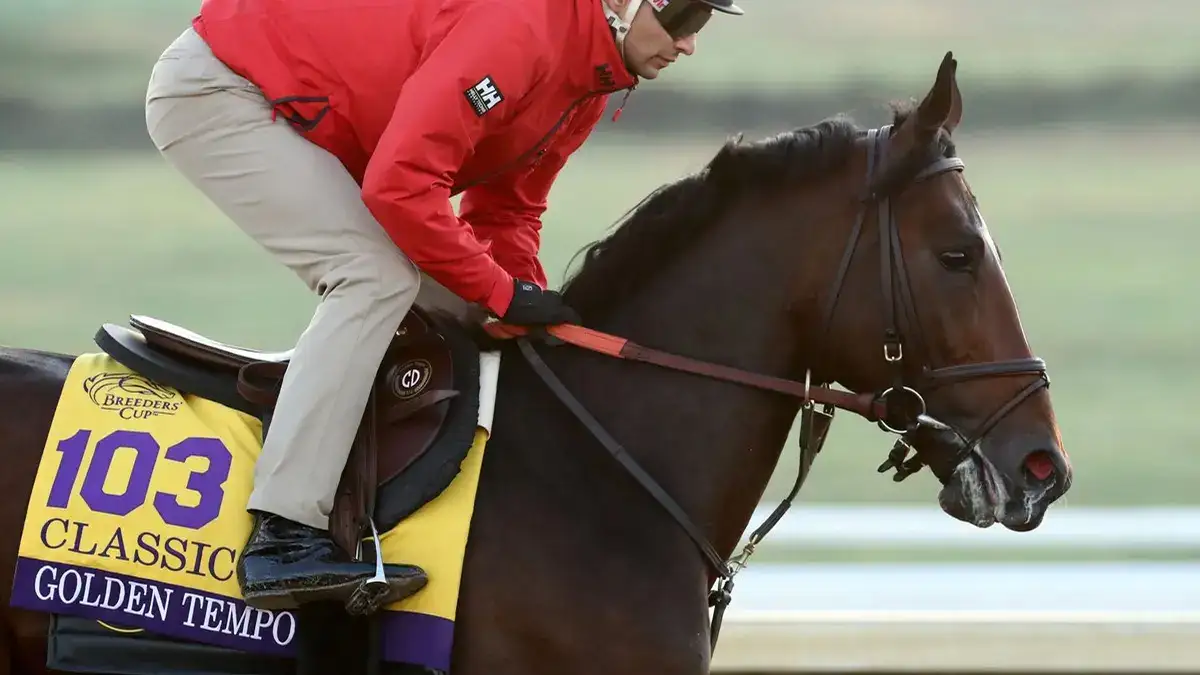Golden Tempo, Englishman y Nitrogen: tres temperamentos