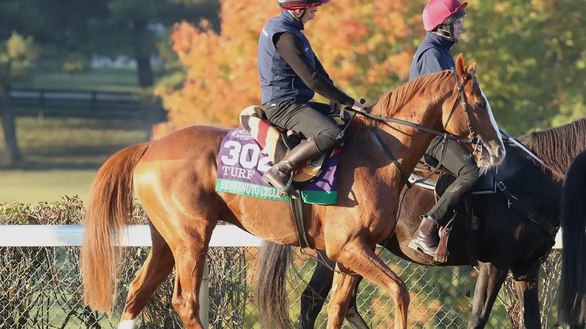 Breeders' Cup Turf: Benvenuto Cellini aún puede mejorar