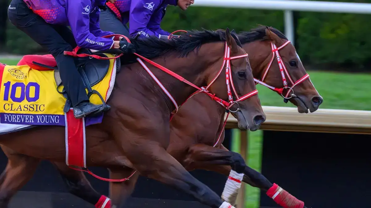 Forever Young y T O Elvis, figuras de Japón en Breeders' Cup