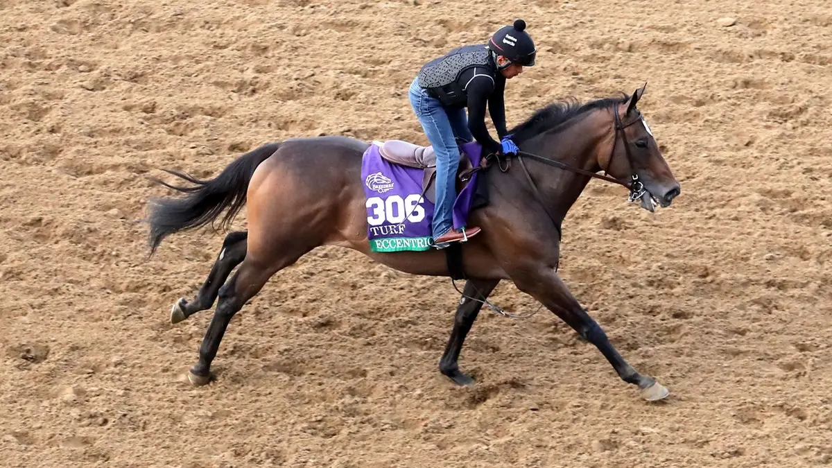 Breeders' Cup, una cartelera de alcance internacional