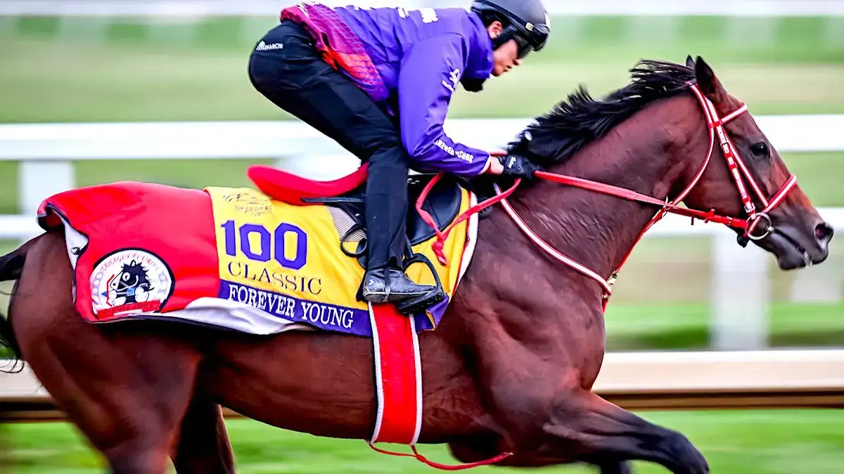 Forever Young prepara su defensa en la Breeders’ Cup Classic