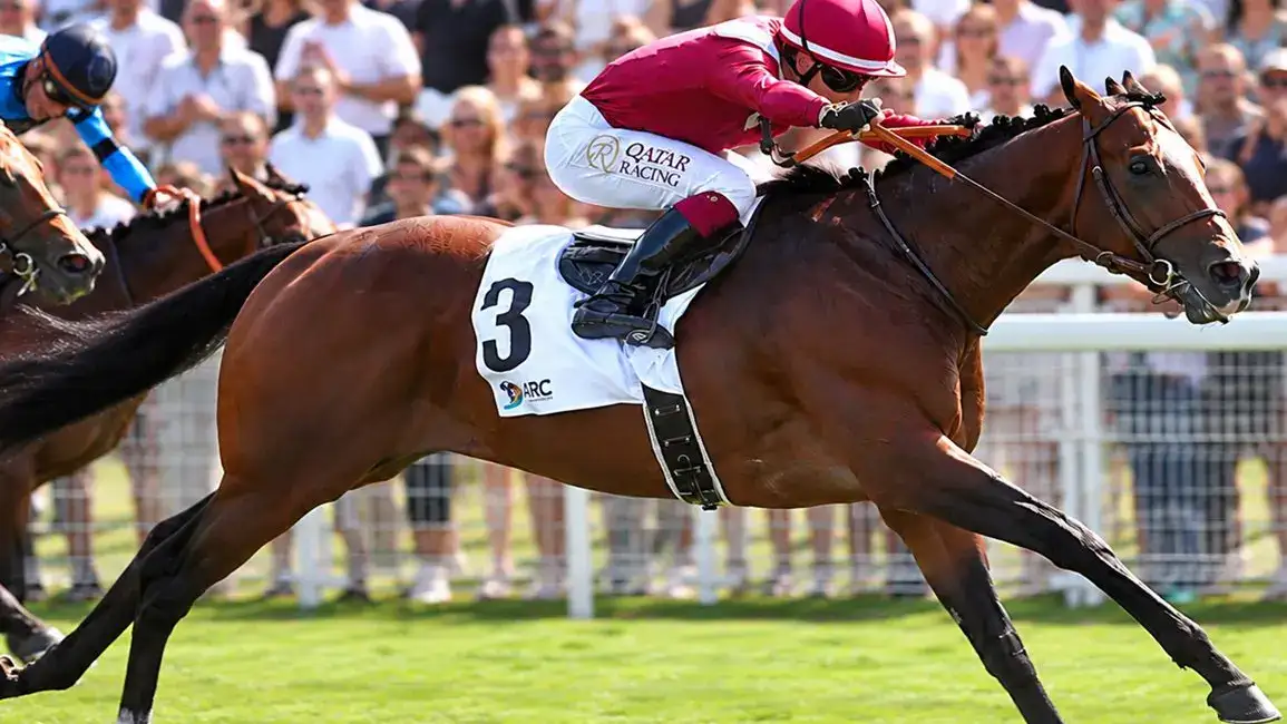 Sajir se retira y servirá en Beech House Stud