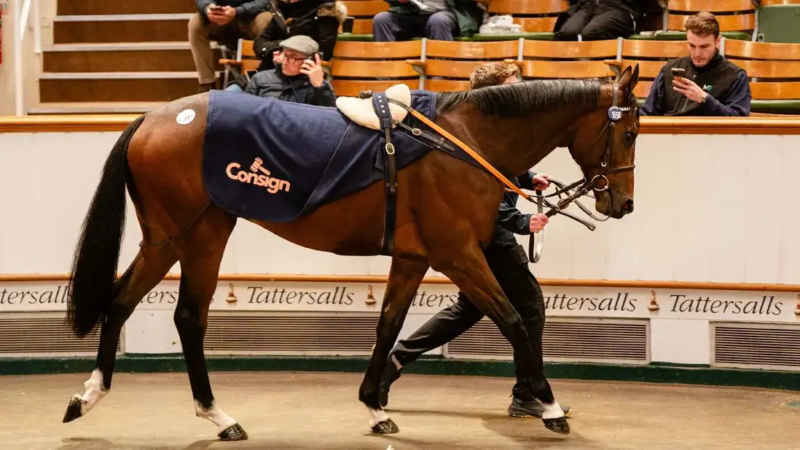 Tyrrhenian Thunder se vendió por 600.000 guineas
