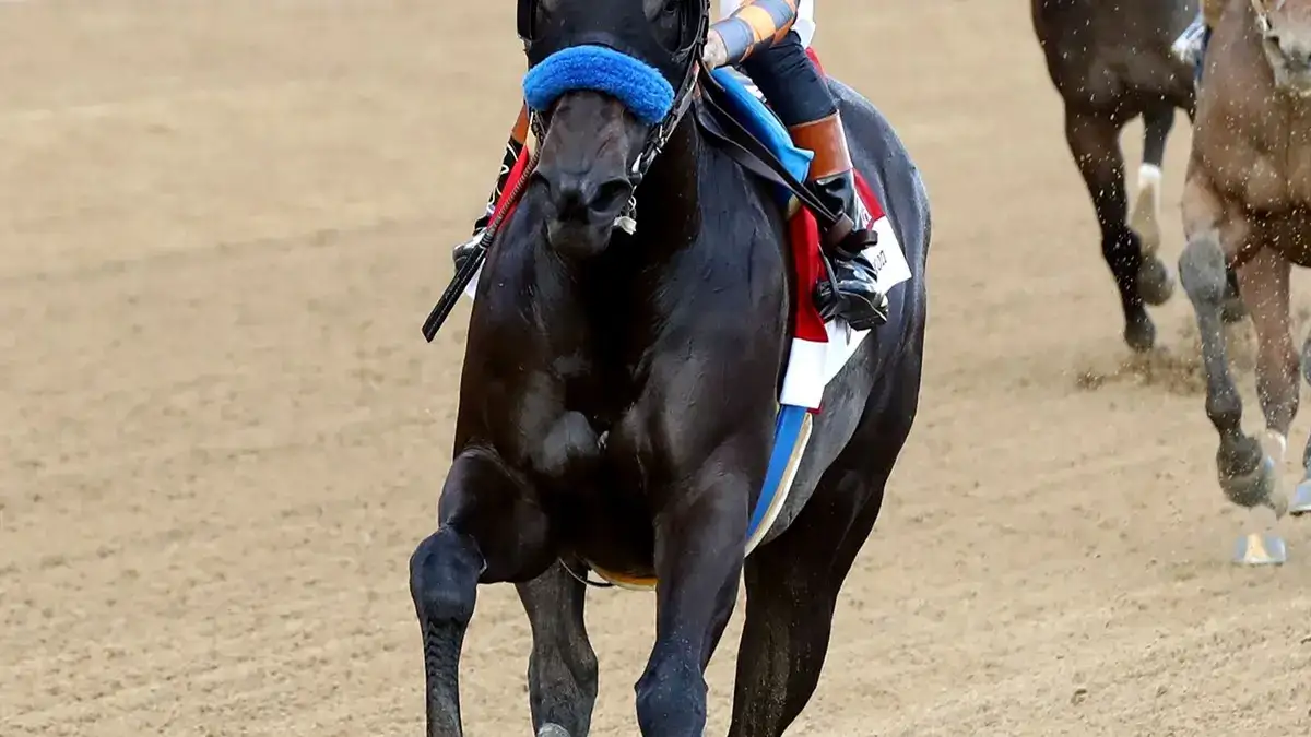 Splendora queda fuera de la Breeders' Cup Distaff