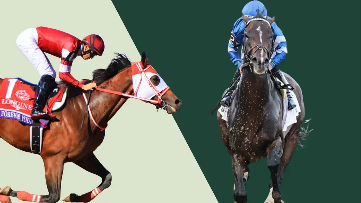 Sovereignty y Forever Young ante el Breeders’ Cup Classic