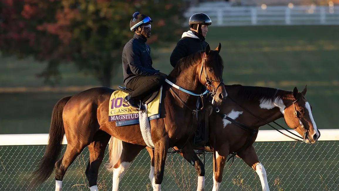 Magnitude y Paladin se retiran para servir en Ashford Stud