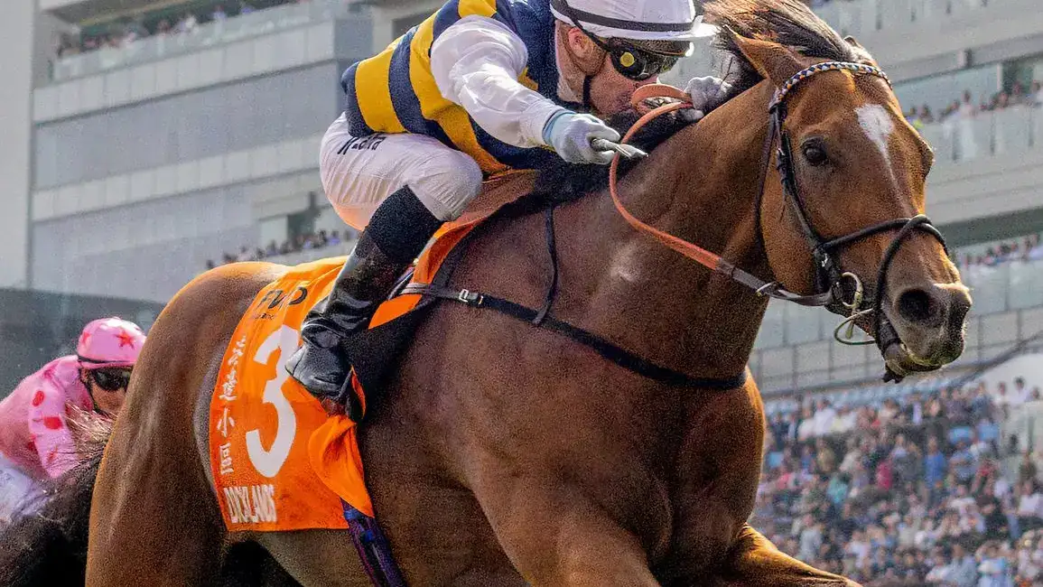 Docklands, inscrito para la BOCHK Jockey Club Cup