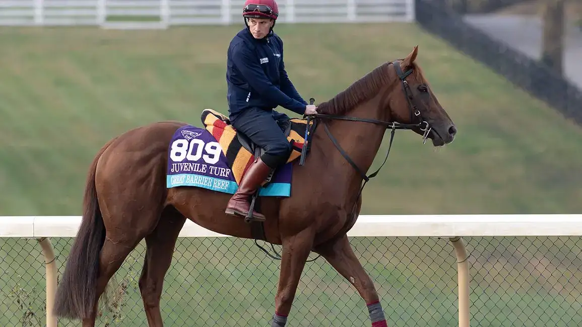 Great Barrier Reef, baja del Breeders' Cup Juvenile Turf