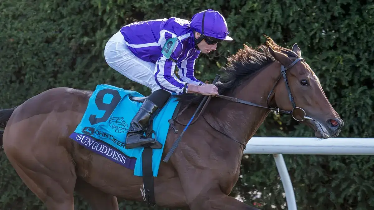 Sun Goddess vence en la Breeders' Cup Juvenile Fillies Turf