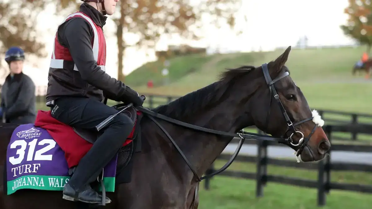 Joseph O'Brien confía en su equipo para la Breeders' Cup