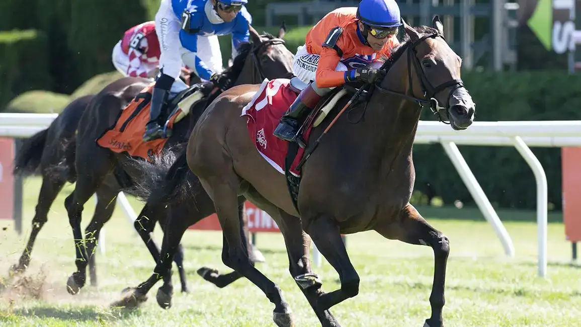 Seis stakes de Grupo prolongan la acción tras Breeders’ Cup