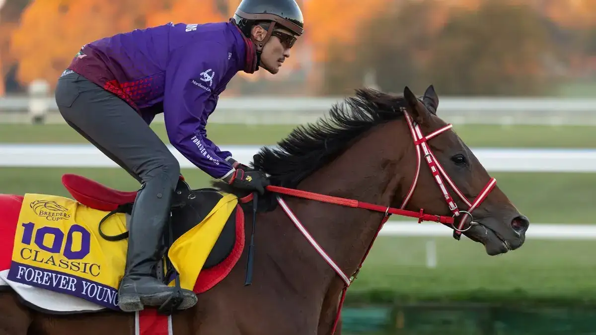Forever Young busca repetir en la Breeders' Cup Classic