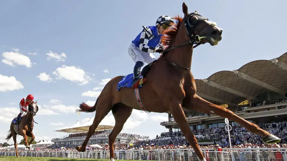 Defiantly queda fuera de la Melbourne Cup; Kizlyar entra