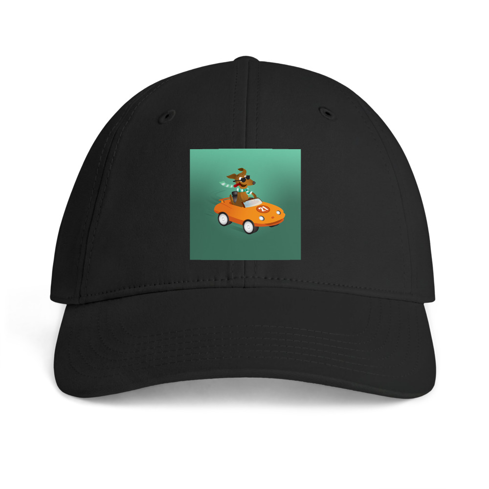 Gemini Hat