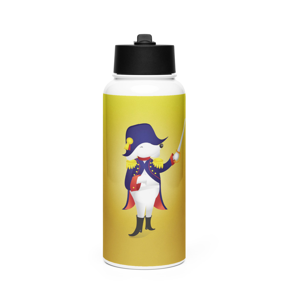Aries Stainless Steel Water Bottle with a Straw Lid
