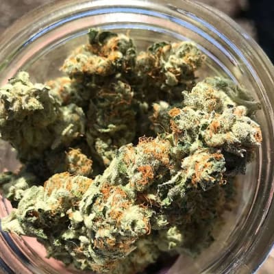 1 Haze