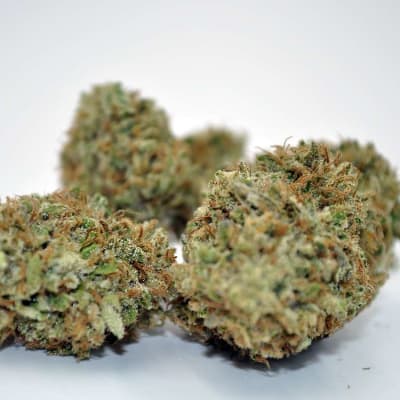 Banana Punch No. 3