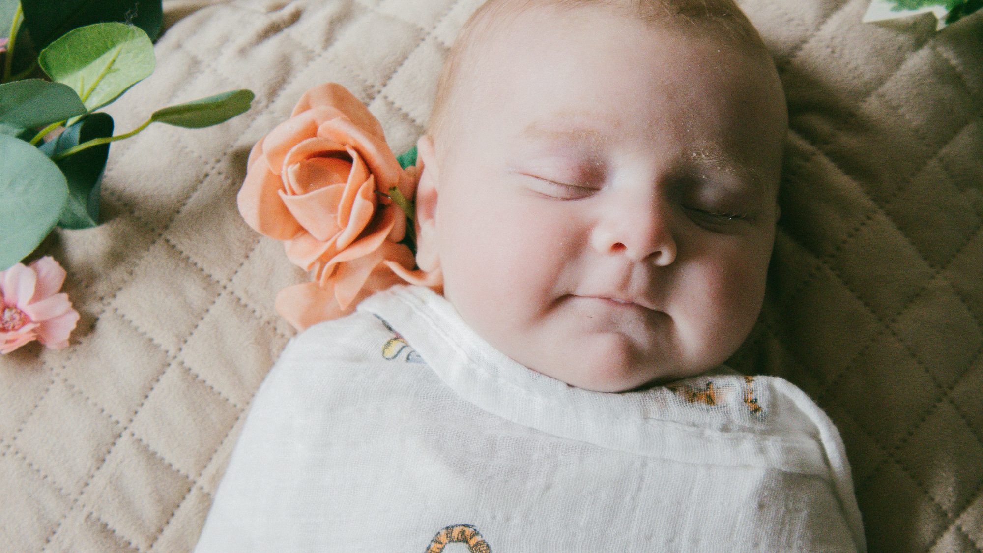 Welcome to the World, Lacey