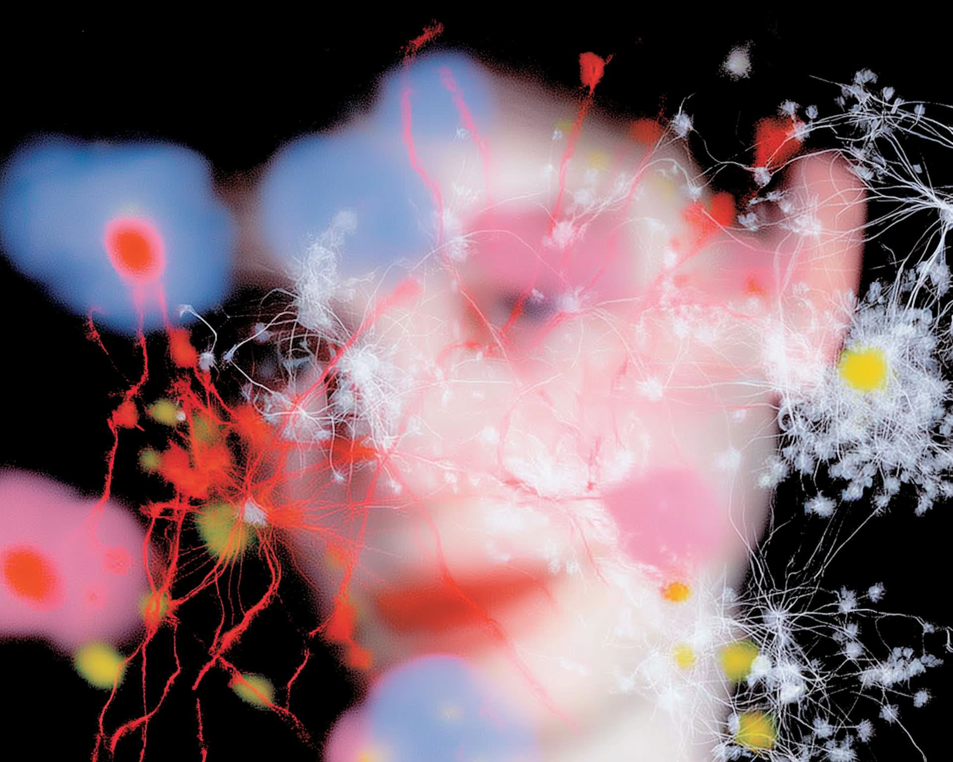 Tasarım Odaklı Yazılım: Kodlamadan Önce Neden Tasarımı Konuşturmalıyız?