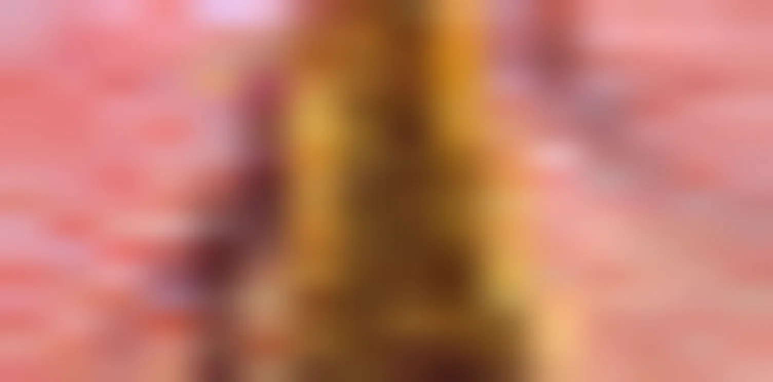 carousel-default-image