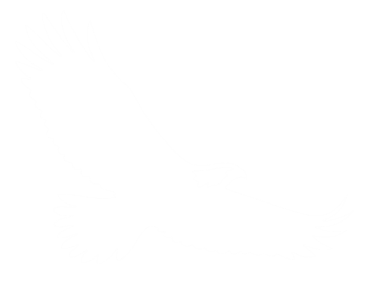 Libertad Capital Management Logo