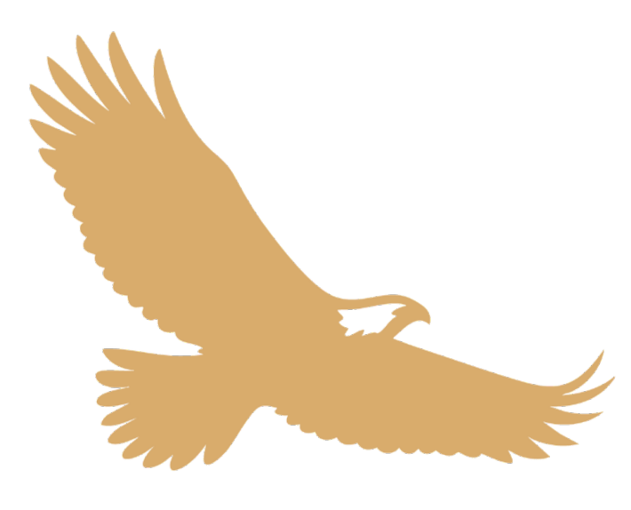 Libertad Capital Management Logo