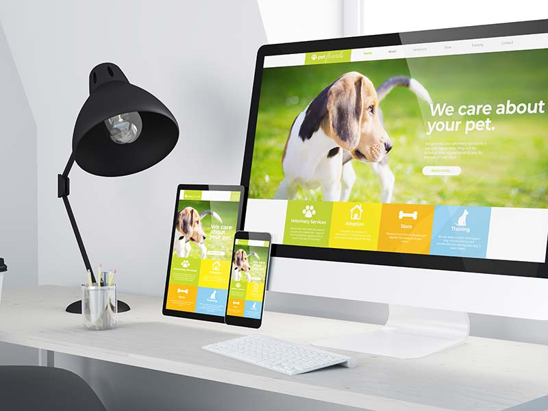 Fotoğraf+Grafik Web Tasarım ve SEO