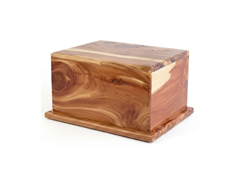 Cedar