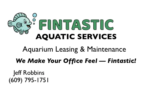 Fintastic Card