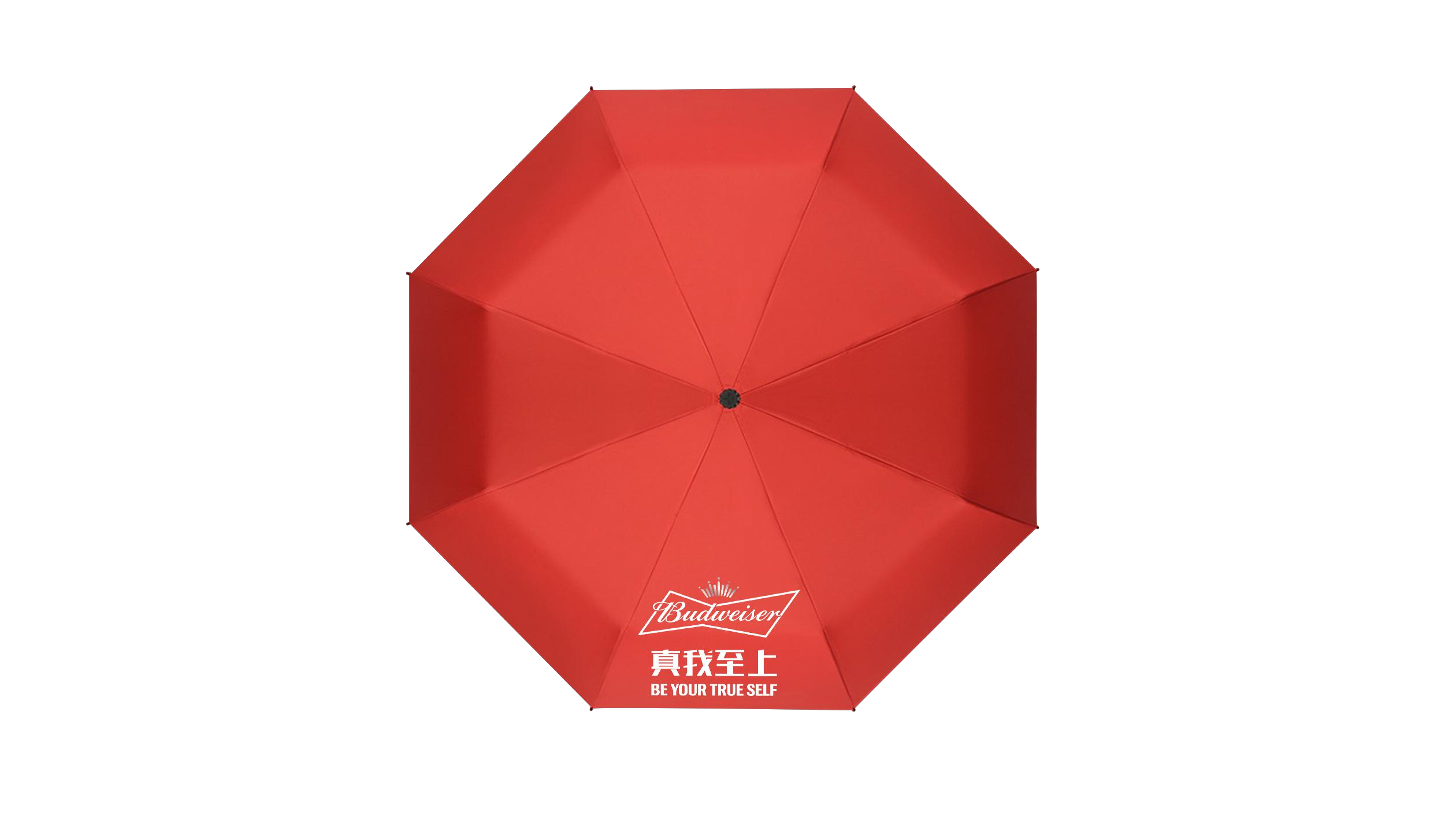 Water-Reactive Pattern Umbrella 2 Water-Reactive Pattern Umbrella - 画像 (2)